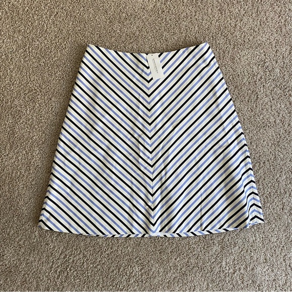 NWT Banana Republic Blue and White Midi A-Line Striped Skirt Lined, Zip, size 4 - Picture 1 of 7
